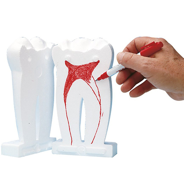 Skumtanden, 20 cm, stk.