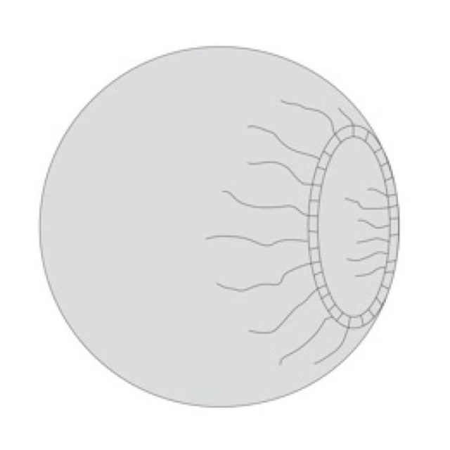 OP-overtræk til røntgen, 140 cm, 22 stk